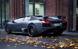 Back View Gray Murcielago